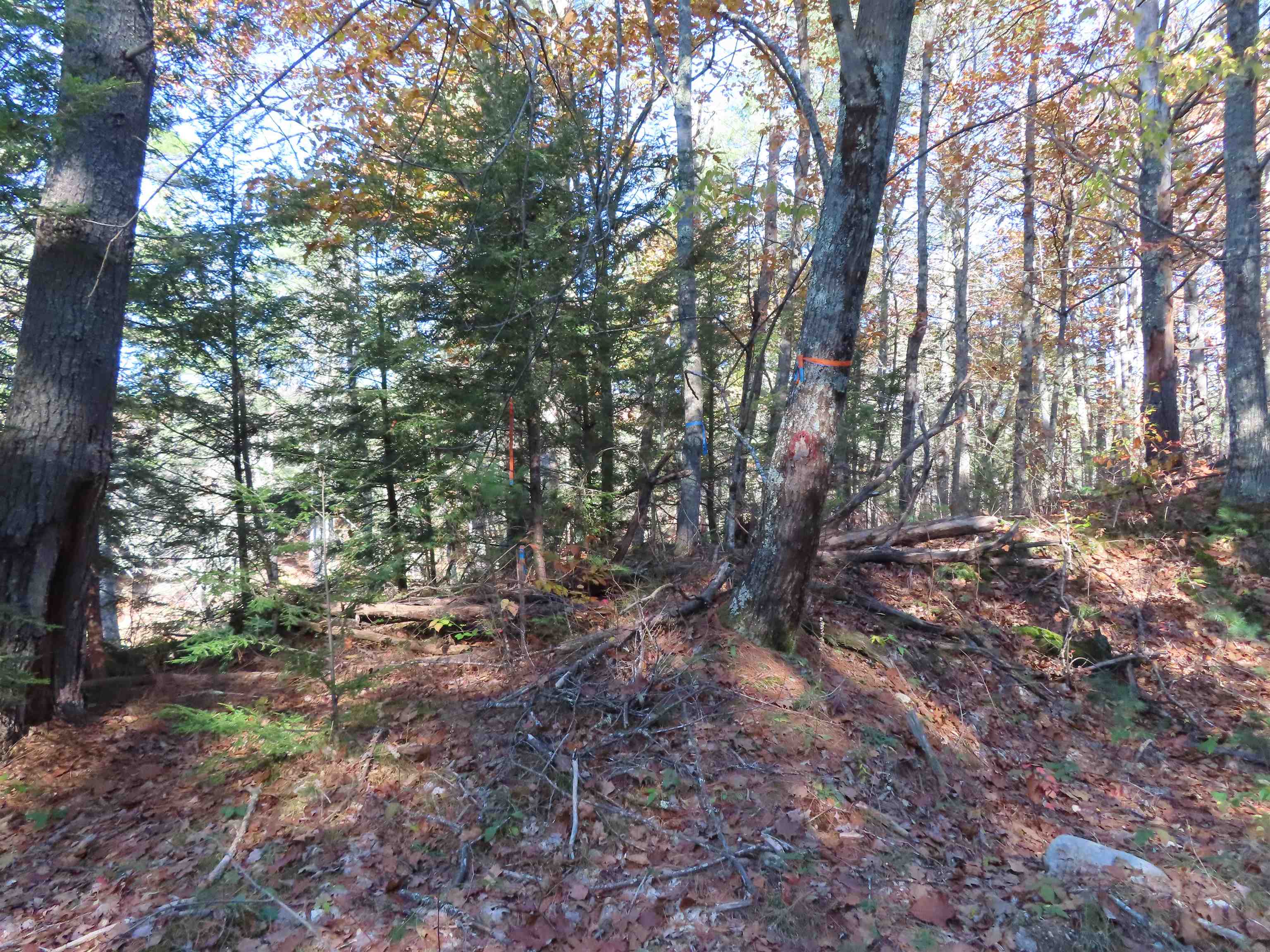 51-3 Rines Road Alton, NH 03809 - Photo 4 of 15