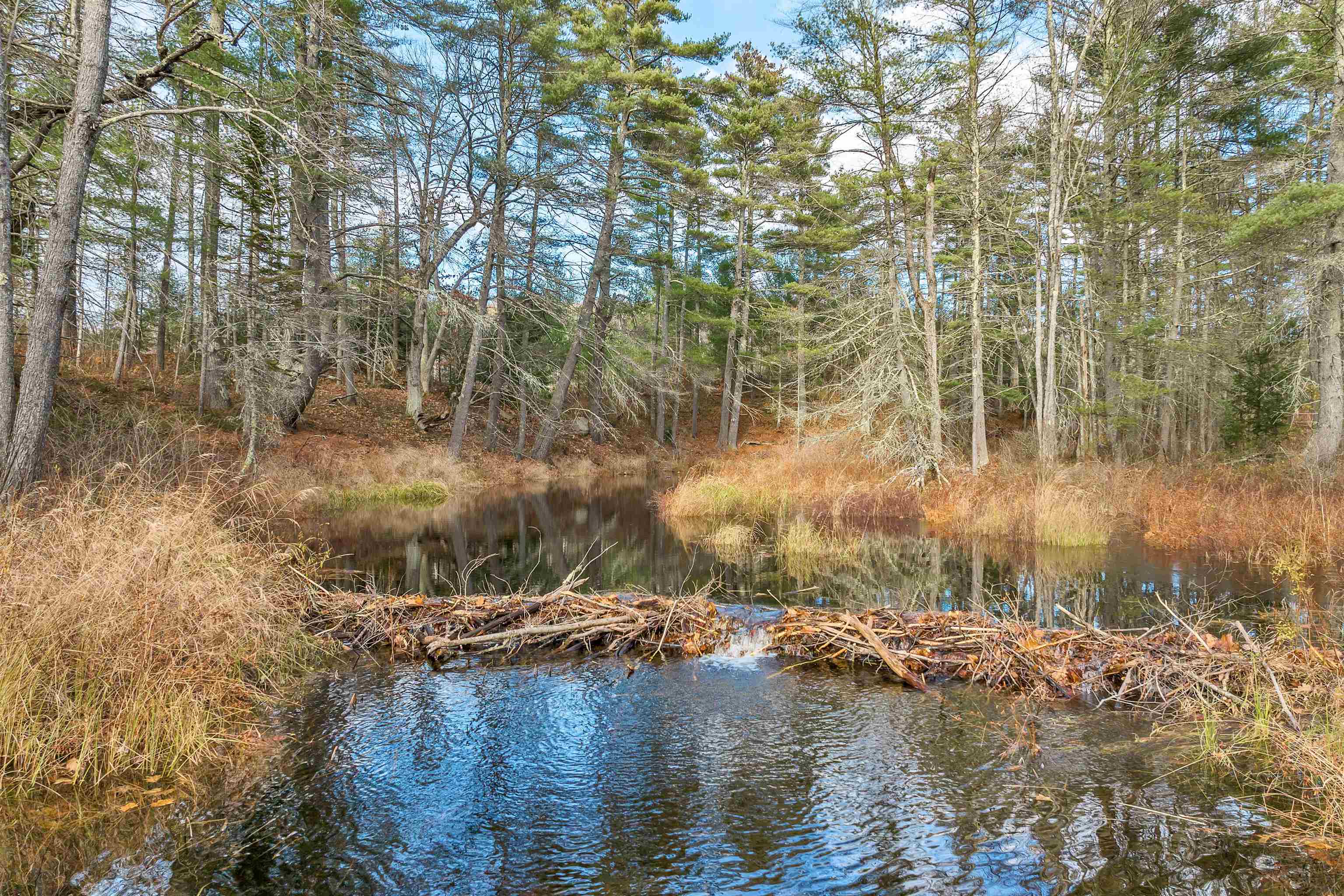 51-3 Rines Road Alton, NH 03809 - Photo 5 of 15