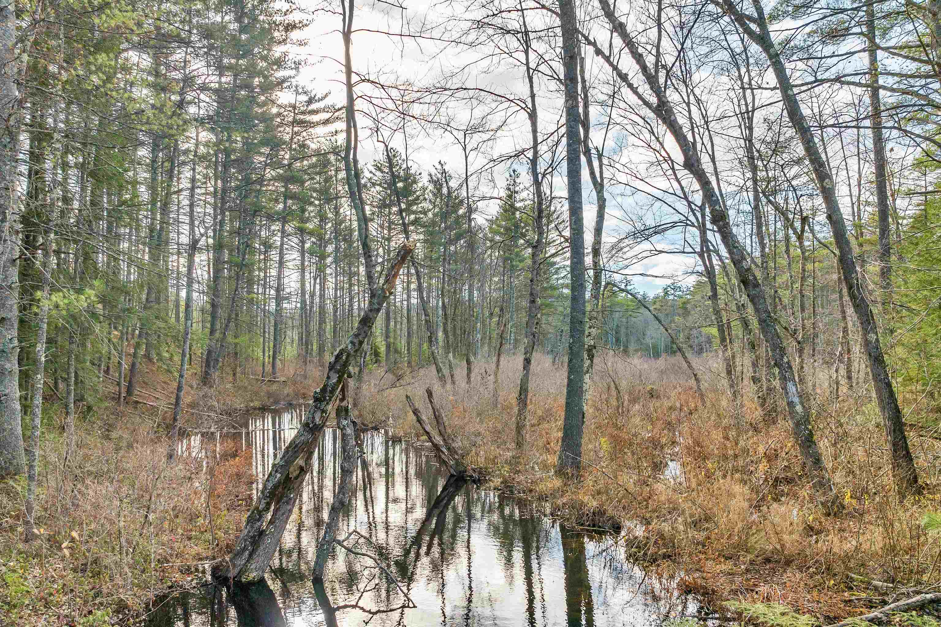 51-3 Rines Road Alton, NH 03809 - Photo 6 of 15