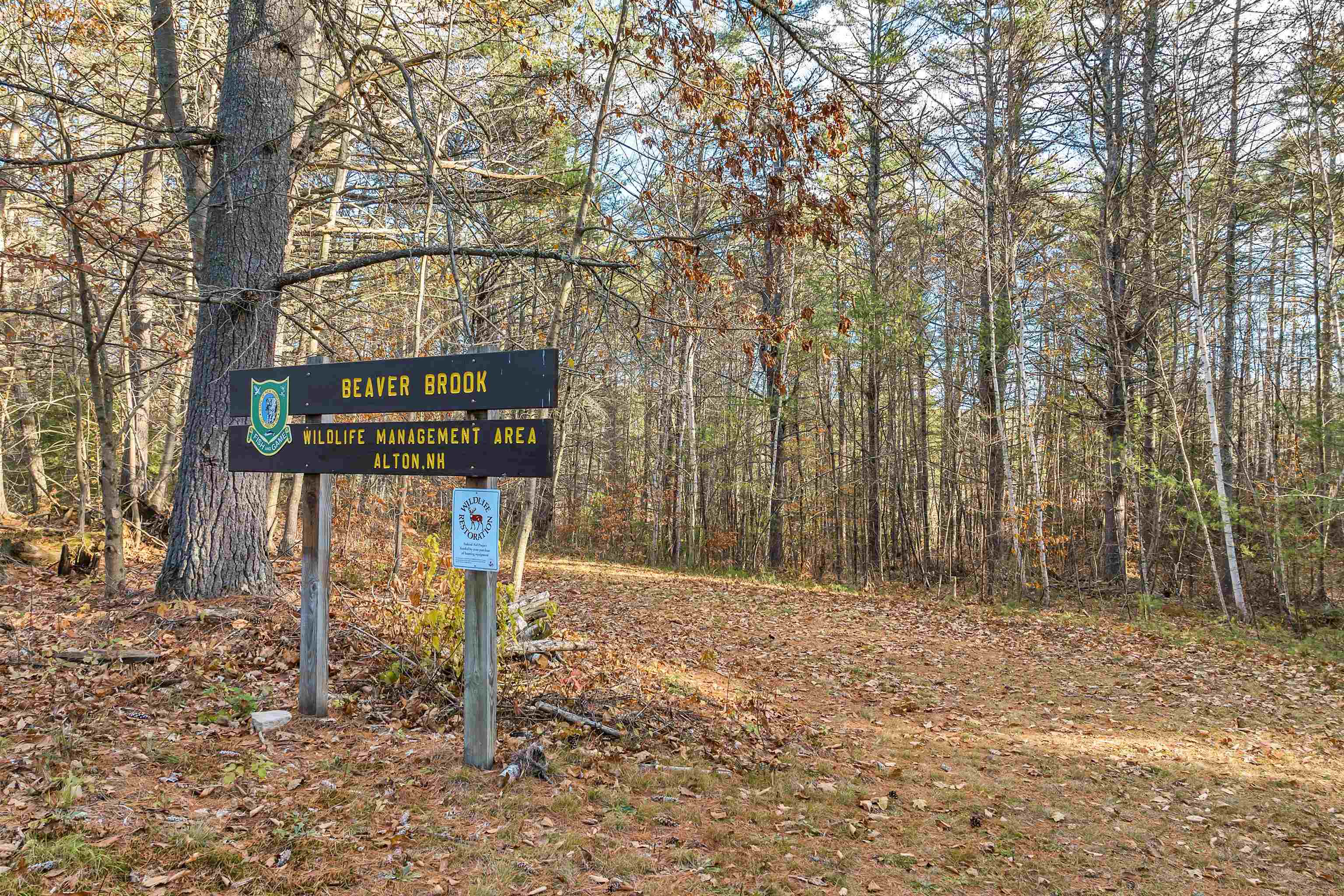 51-3 Rines Road Alton, NH 03809 - Photo 7 of 15