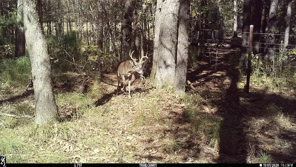 $699,900 | 15766 County Road 1130, Flint, TX 75762