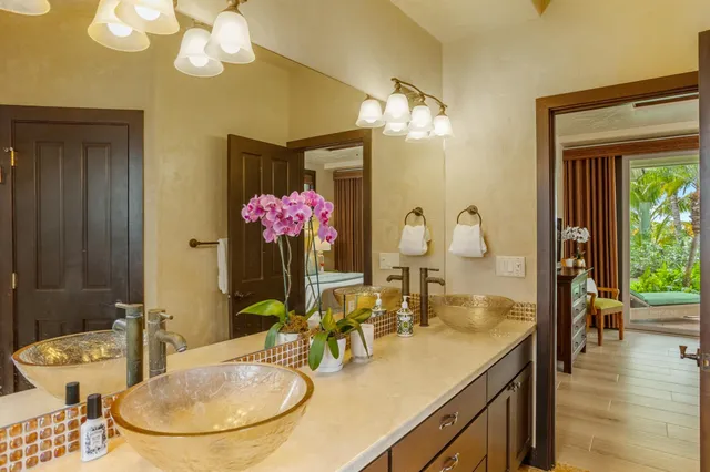 a view of a plant in a garden