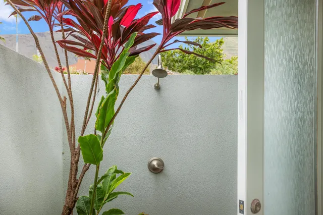 a view of a room with a yard from a window