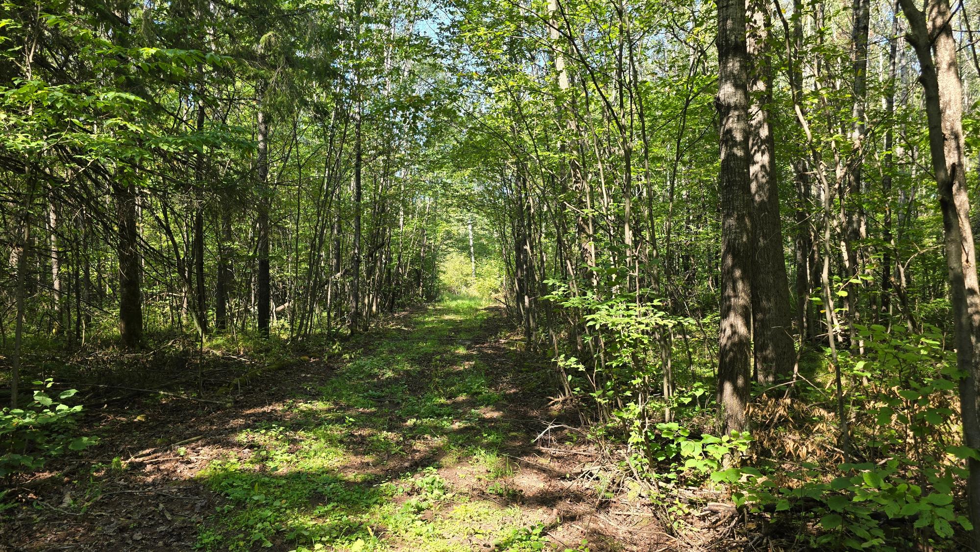 N6006 Pratt Road Gleason, WI 54435 - Photo 26 of 66 Gallery Image 26