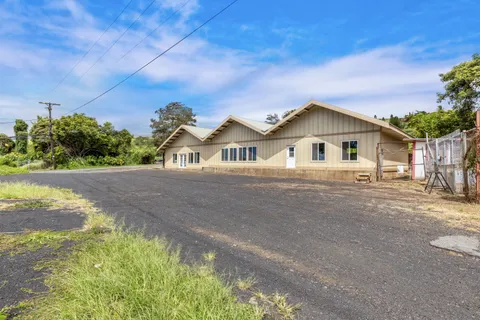 a view of a backyard with plants
