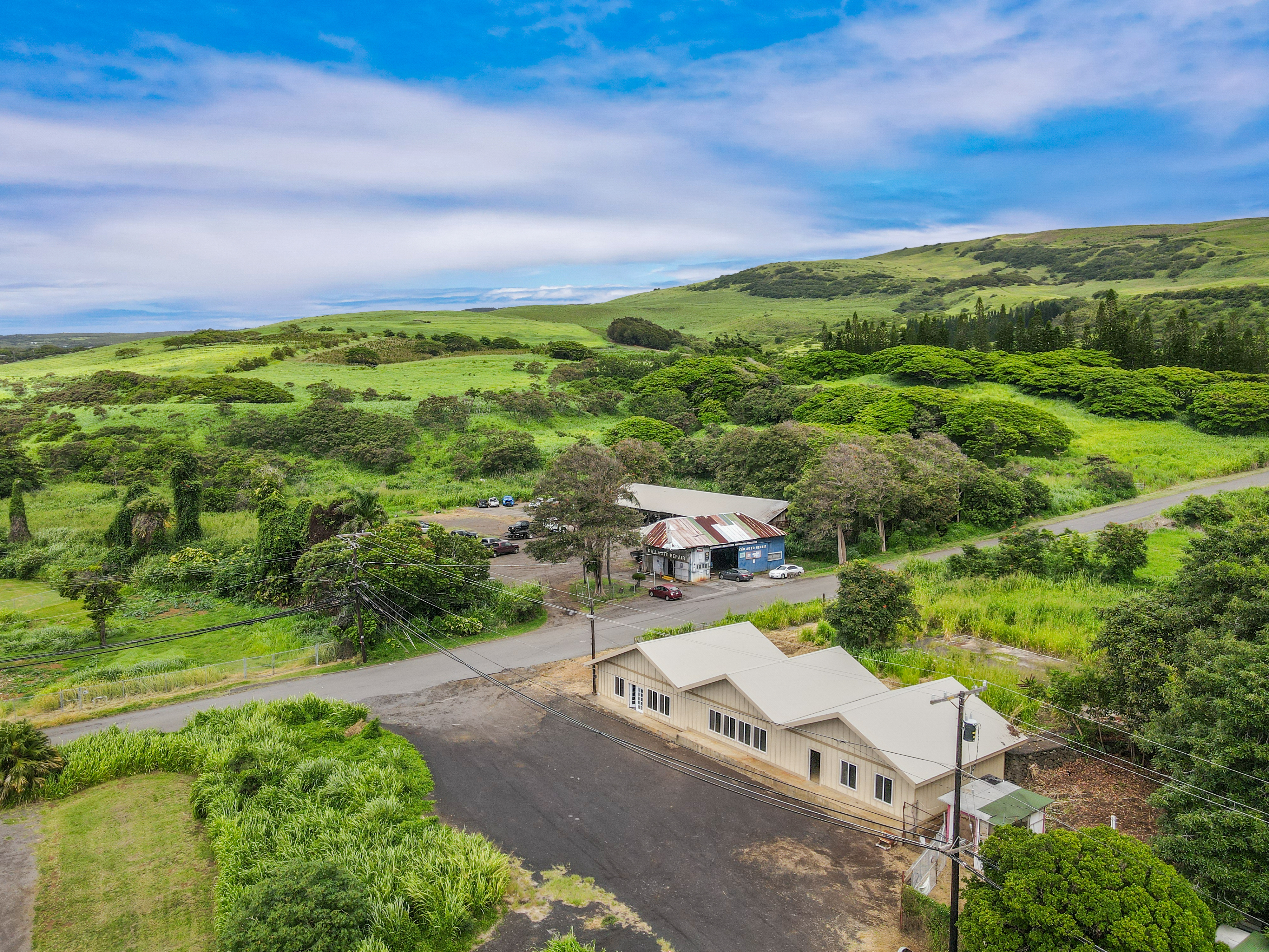 95-1178 Kaalaiki Road Naalehu, HI 96772 - Photo 2 of 22 a view of a garden with an ocean