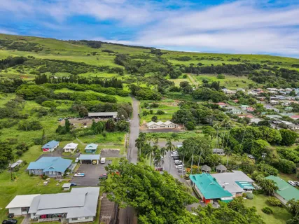 an aerial view of residential houses with outdoor space and trees