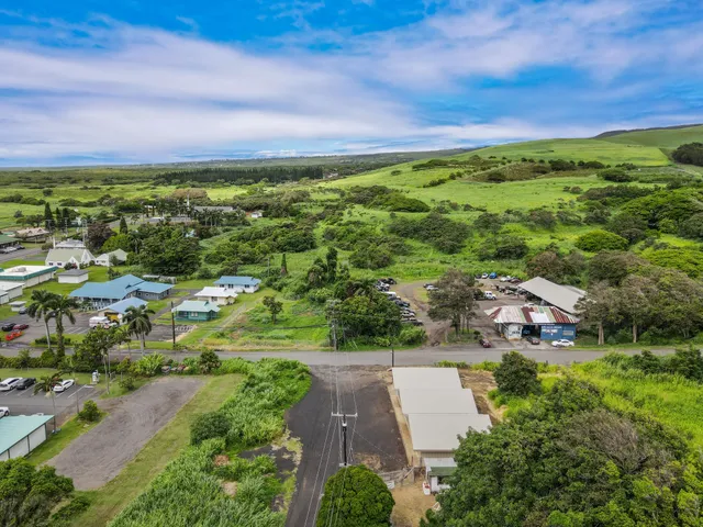 an aerial view of residential houses with outdoor space and trees