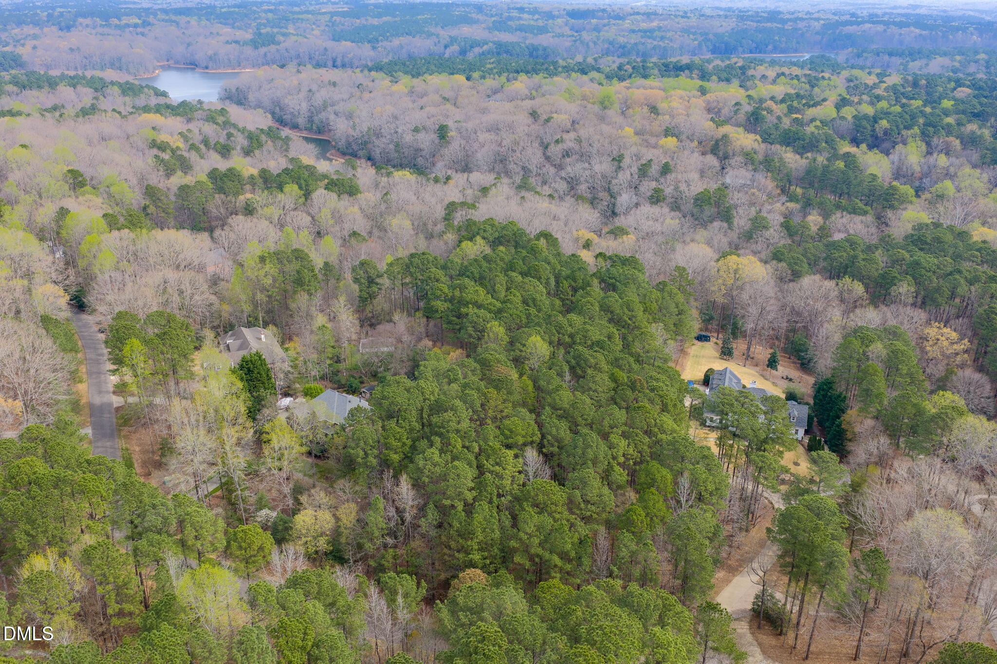 1121 Erins Way Lane Raleigh, NC 27614 - Photo 12 of 20 a view of a city with lush green forest
