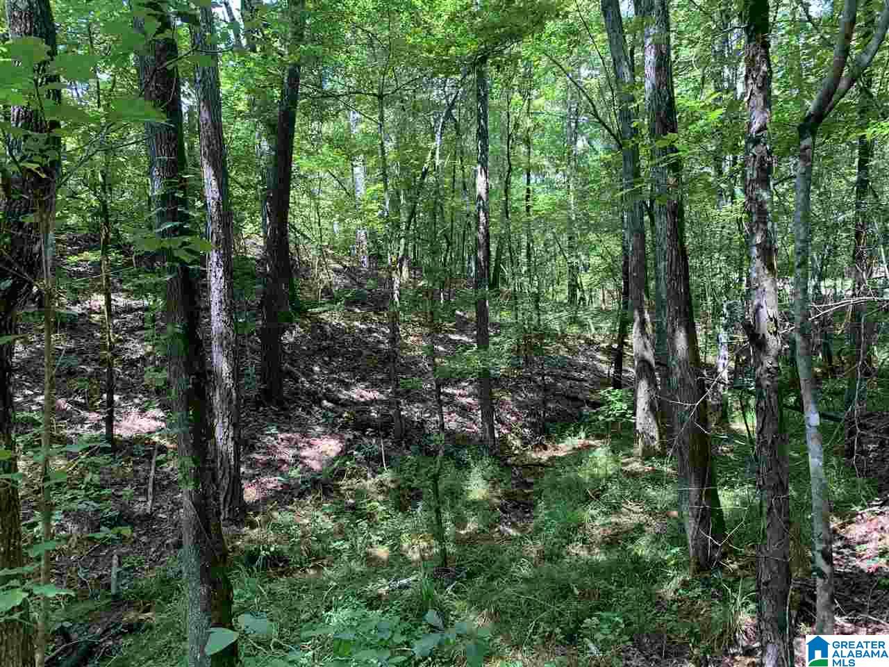 0 Brown Road Calera, AL 35040 - Photo 15 of 18