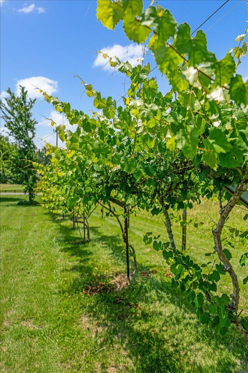 365 Morrison Spring Road Whitwell, TN 37397 - Photo 36 of 63 37-BOX01045