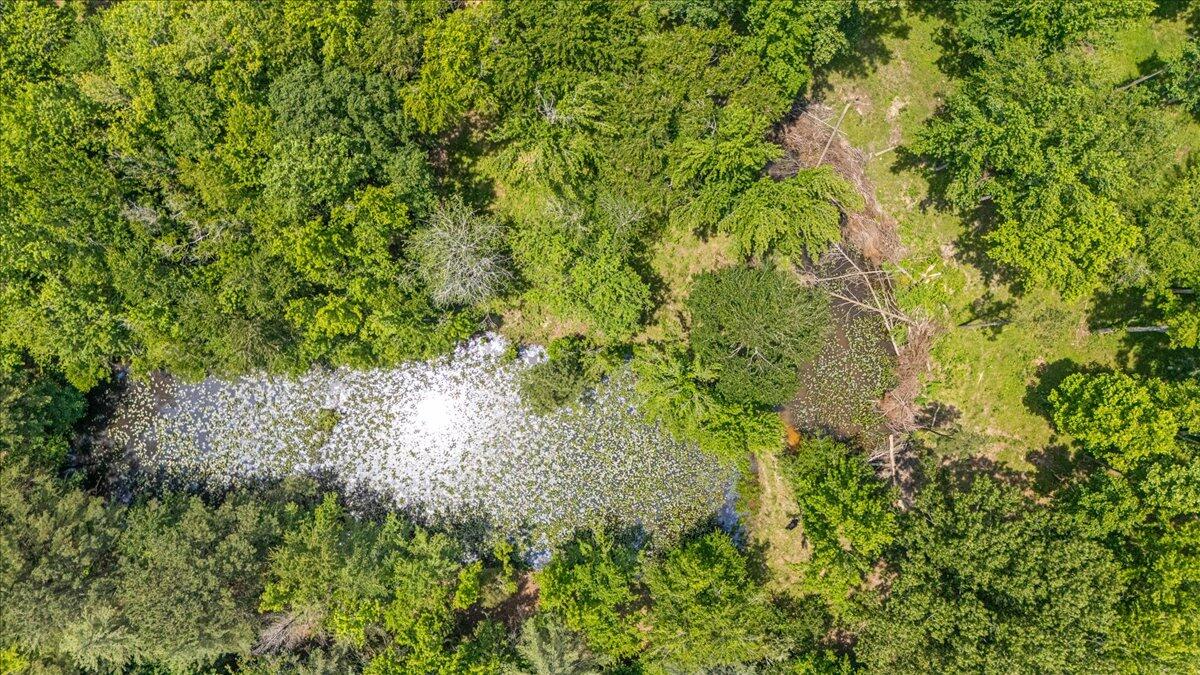 365 Morrison Spring Road Whitwell, TN 37397 - Photo 52 of 63 62-DJI_20250611124059_0092_D