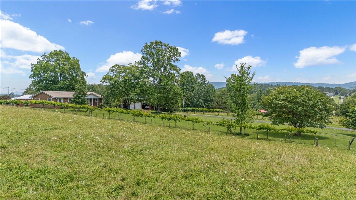 365 Morrison Spring Road Whitwell, TN 37397 - Photo 62 of 63 72-DJI_20250611124826_0126_D