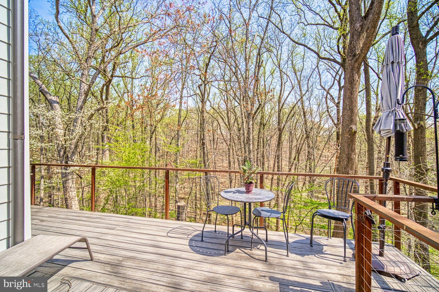 4307 37th Road North Arlington, VA 22207 - Photo 14 of 62 Gallery Image 14