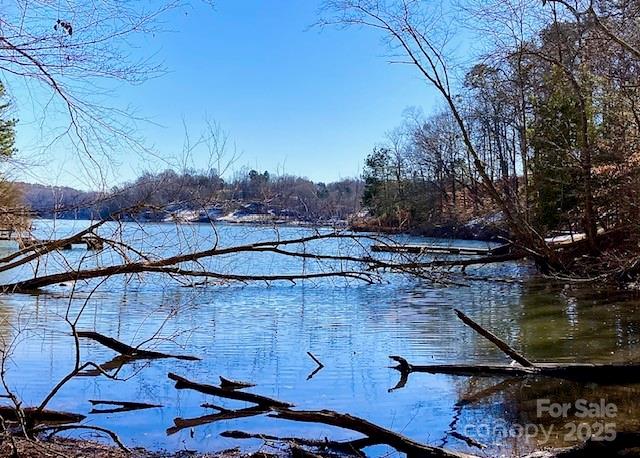 283 Rivercliff Drive, Unit 20 Stony Point, NC 28678 - Photo 11 of 16 a view of a backyard