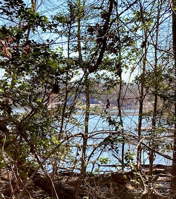 283 Rivercliff Drive, Unit 20 Stony Point, NC 28678 - Photo 4 of 16 a view of tree