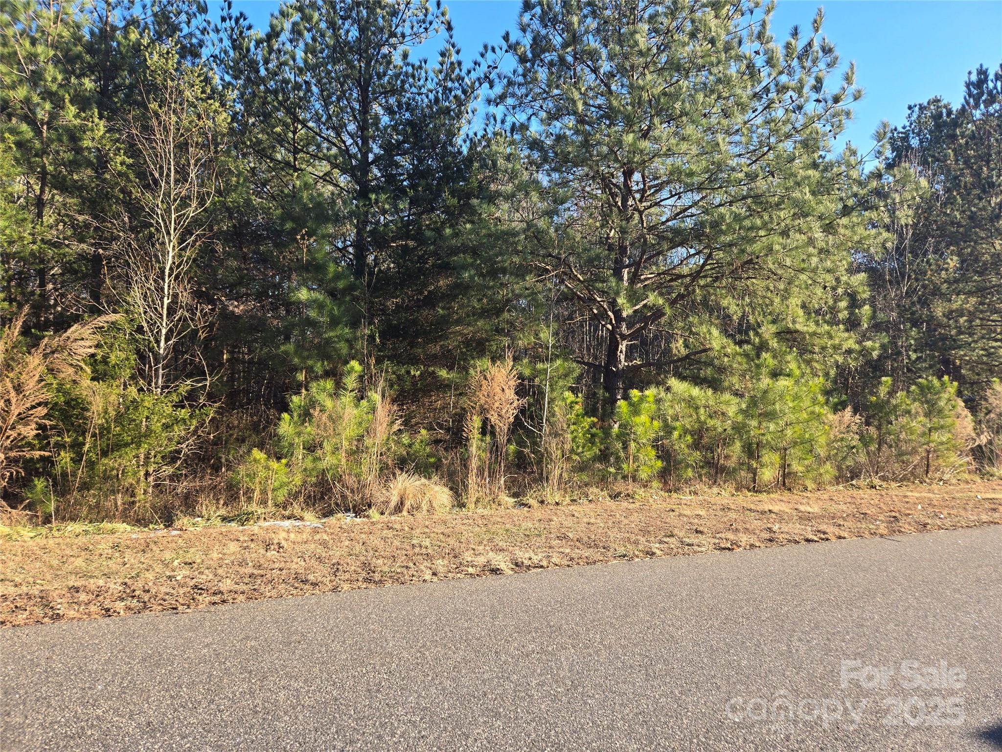 283 Rivercliff Drive, Unit 20 Stony Point, NC 28678 - Photo 5 of 16 a view of road covered with snow in front of house