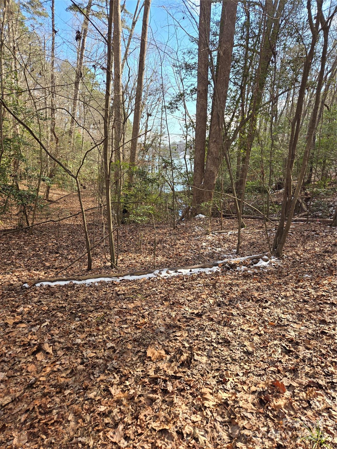 283 Rivercliff Drive, Unit 20 Stony Point, NC 28678 - Photo 8 of 16 a view of a yard with trees