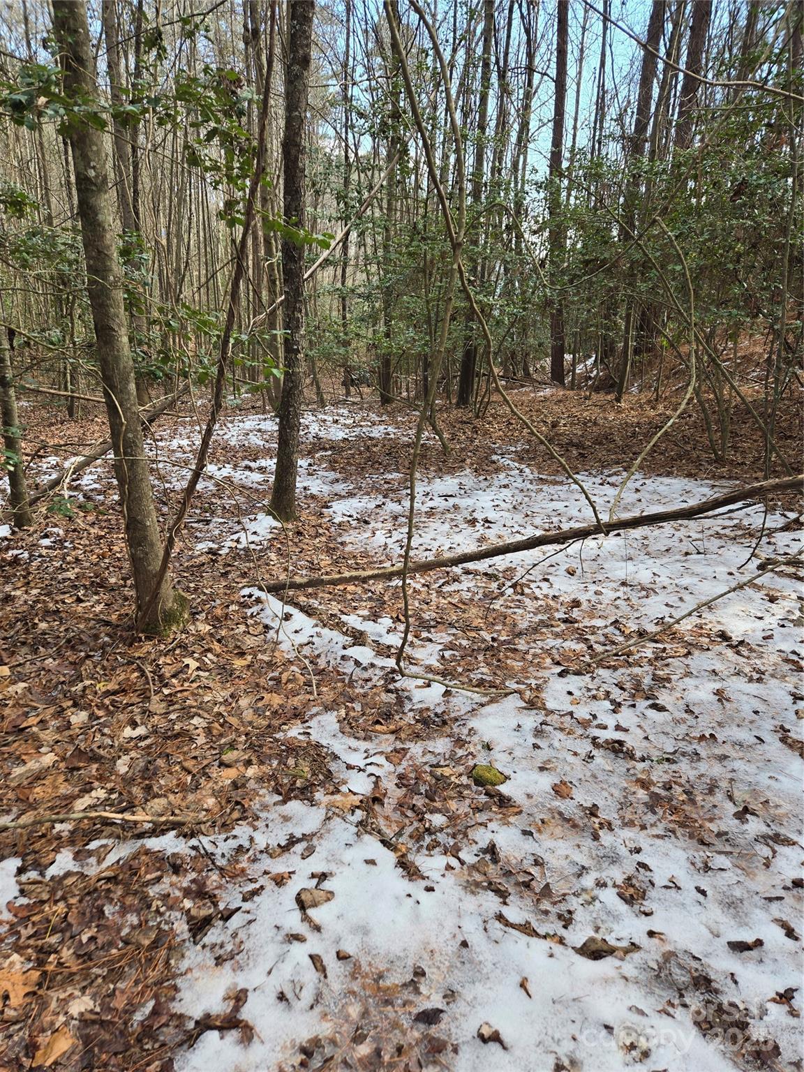 283 Rivercliff Drive, Unit 20 Stony Point, NC 28678 - Photo 9 of 16 a backyard of a house with lots of green space