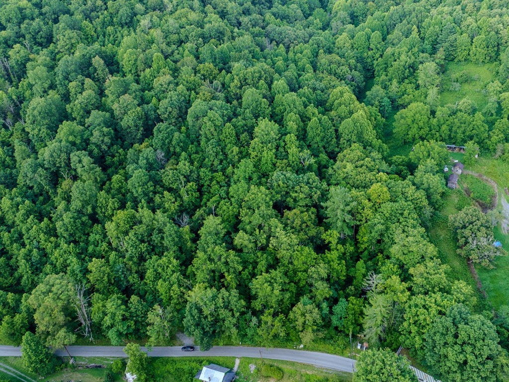 Tbd Dry Fork Road North Tazewell, VA 24630 - Photo 2 of 5 Gallery Image 2