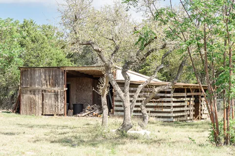 a view of a backyard