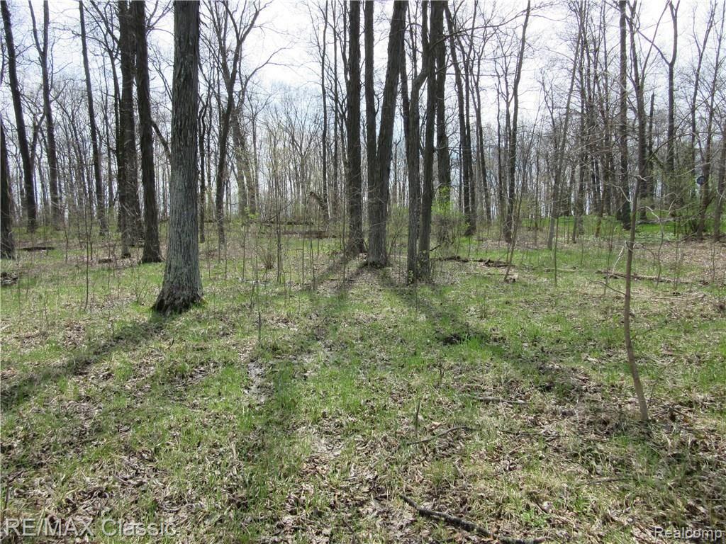 5 Foldenauer Drive Howell, MI 48843 - Photo 6 of 8