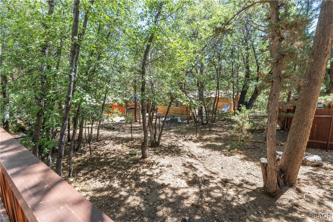 753 Maple Lane Sugarloaf, CA 92386 - Photo 45 of 50 a view of a forest filled with trees