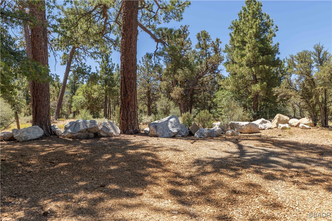753 Maple Lane Sugarloaf, CA 92386 - Photo 50 of 50 a view of a outdoor space with trees