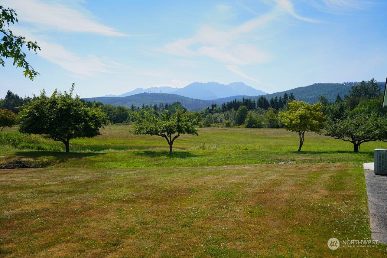 181 Mapleton Way Port Angeles, WA 98363 - Photo 4 of 40 Gallery Image 4