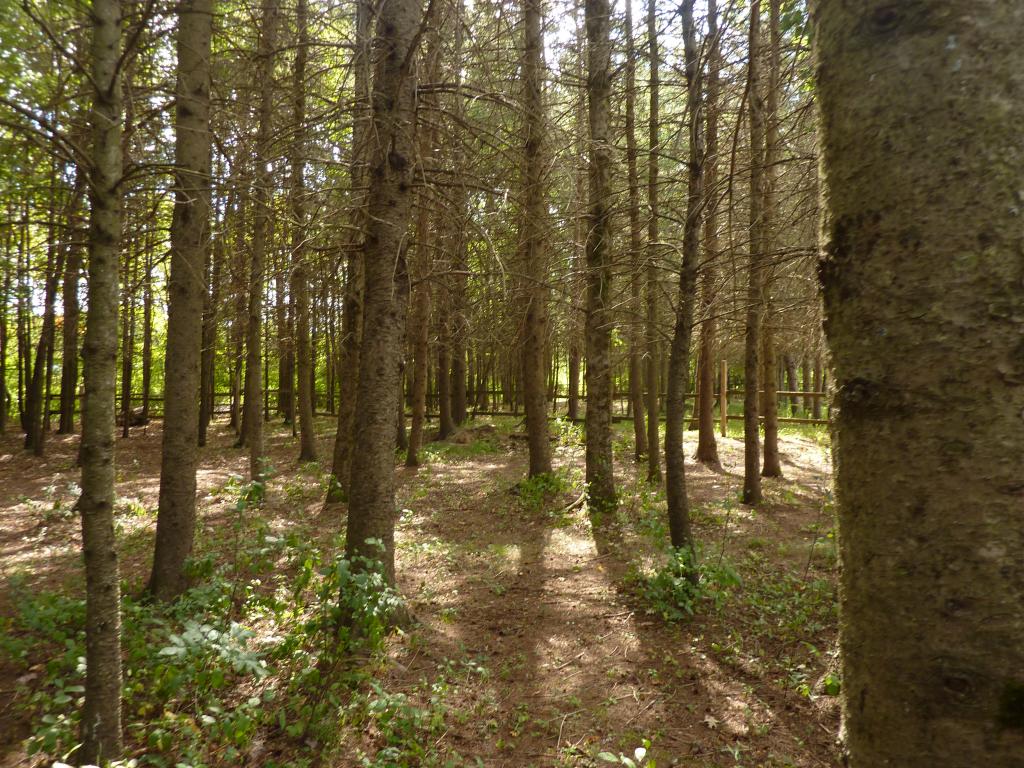 200 Wadleigh Falls Road Lee, NH 03861 - Photo 28 of 33