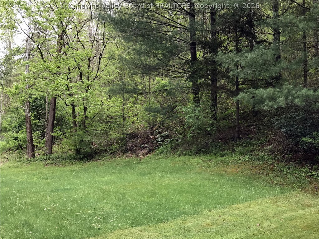 781 Gabe Road Clendenin, WV 25045 - Photo 12 of 25 Gallery Image 12
