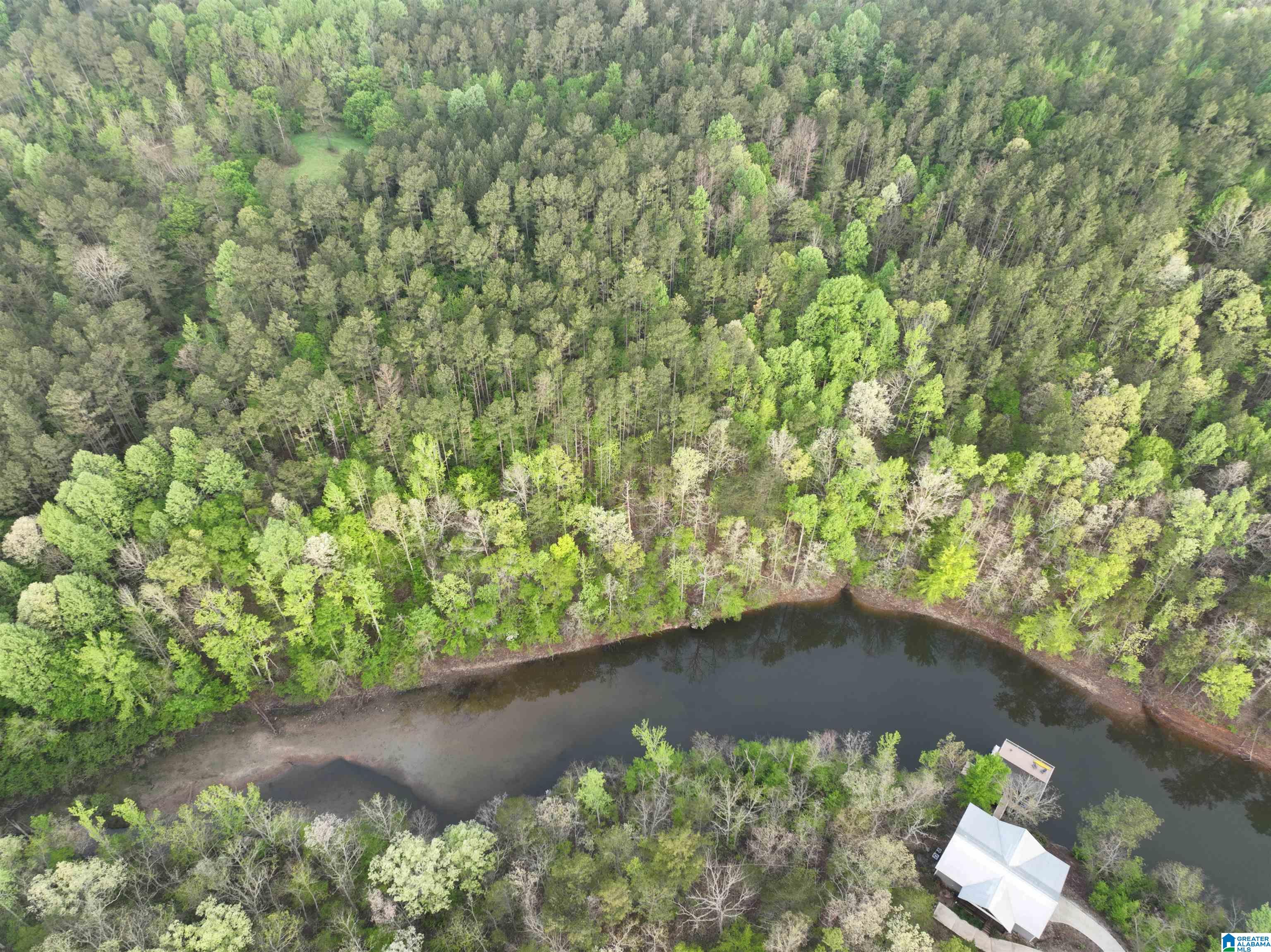 Lot 5 Dogwood Ridge, Unit LOT 5 Wedowee, AL 36278 - Photo 5 of 12