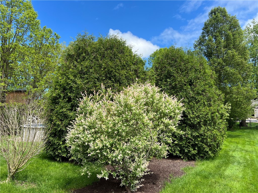 8 Claridge Circle Penfield, NY 14580 - Photo 43 of 47 Nicely landscaped without being overwhelming!