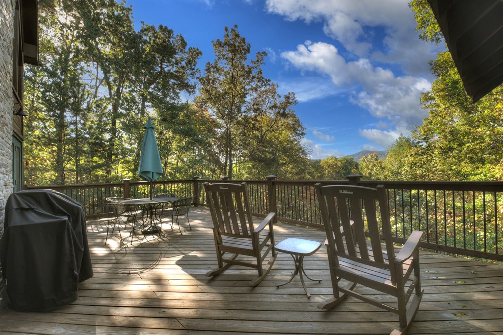 113 Deer Hunter Trail Blue Ridge, GA 30513 - Photo 20 of 50 Gallery Image 20