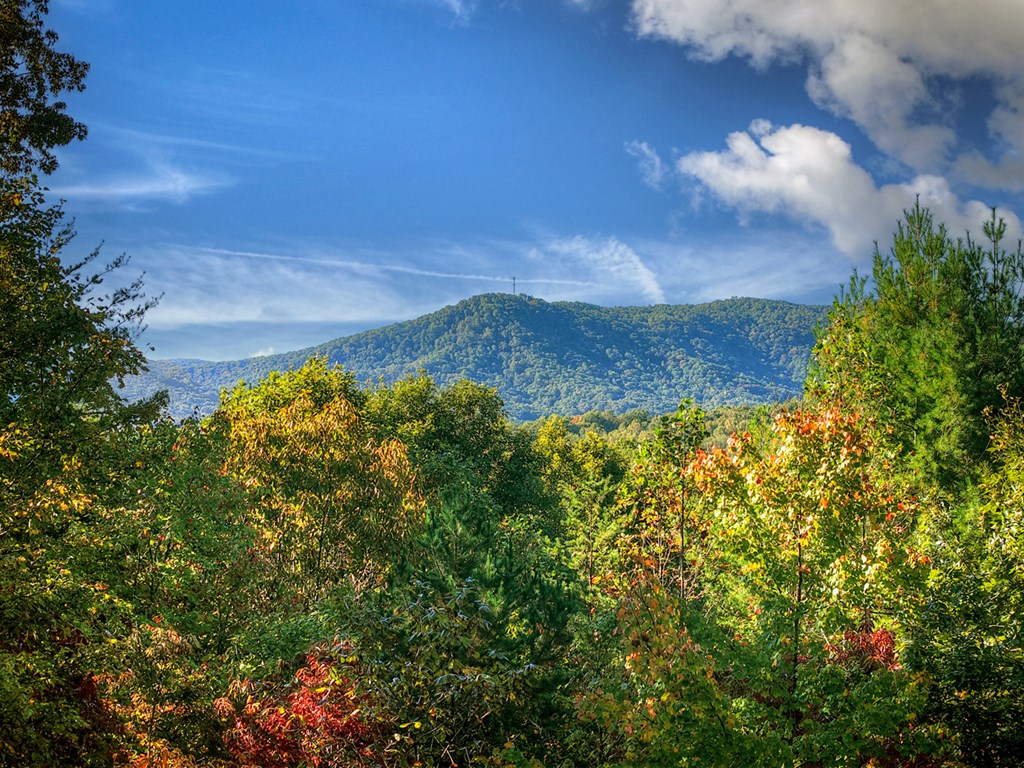 113 Deer Hunter Trail Blue Ridge, GA 30513 - Photo 22 of 50 Gallery Image 22