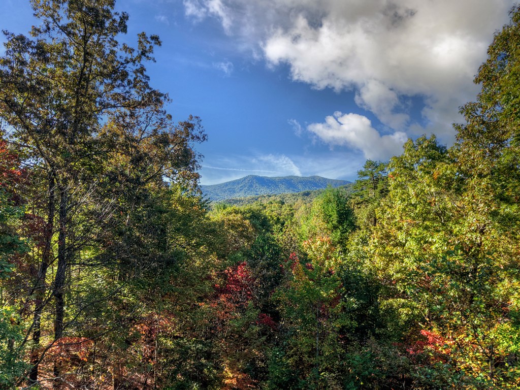 113 Deer Hunter Trail Blue Ridge, GA 30513 - Photo 23 of 50 Gallery Image 23