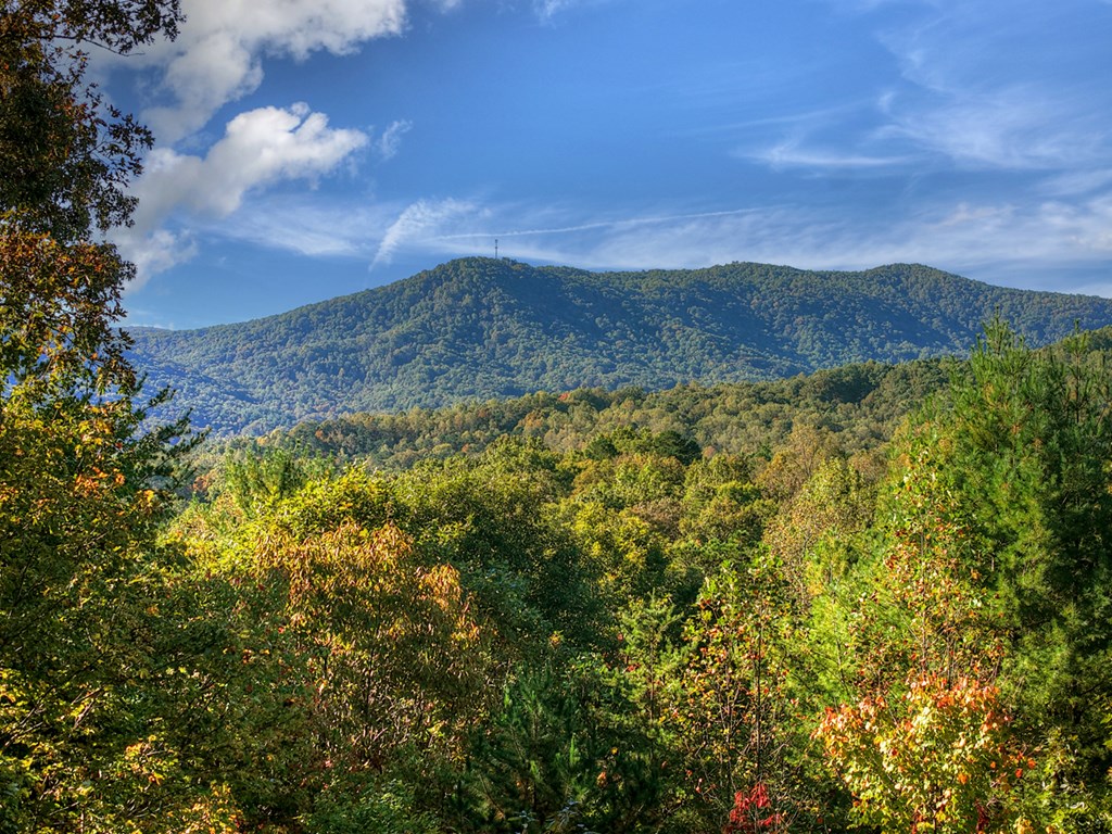 113 Deer Hunter Trail Blue Ridge, GA 30513 - Photo 3 of 50 Gallery Image 3