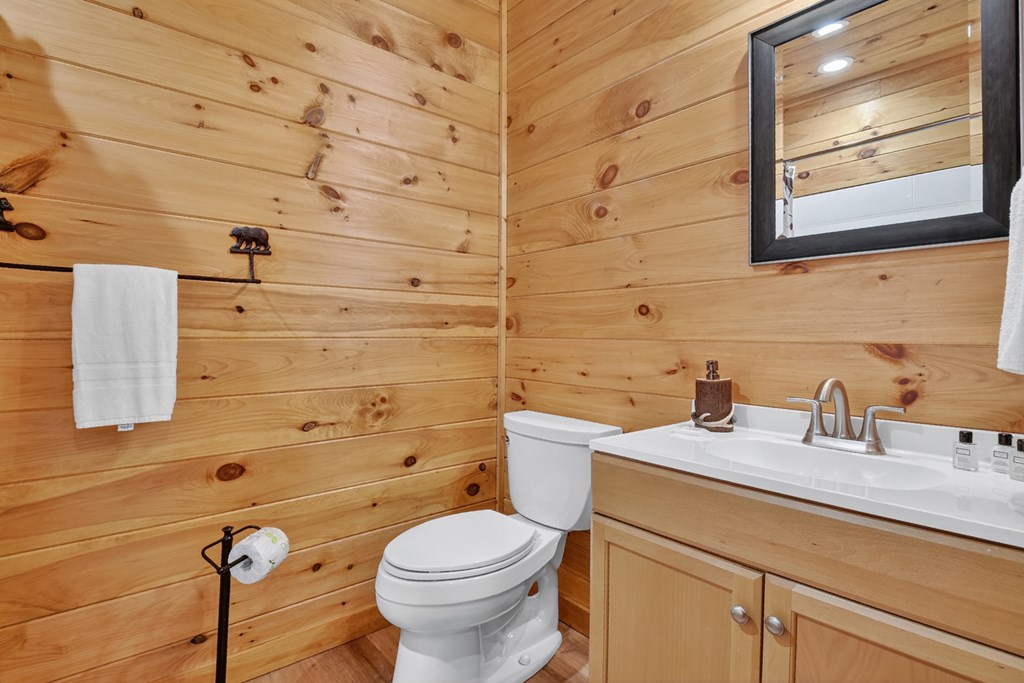 113 Deer Hunter Trail Blue Ridge, GA 30513 - Photo 38 of 50 Gallery Image 38