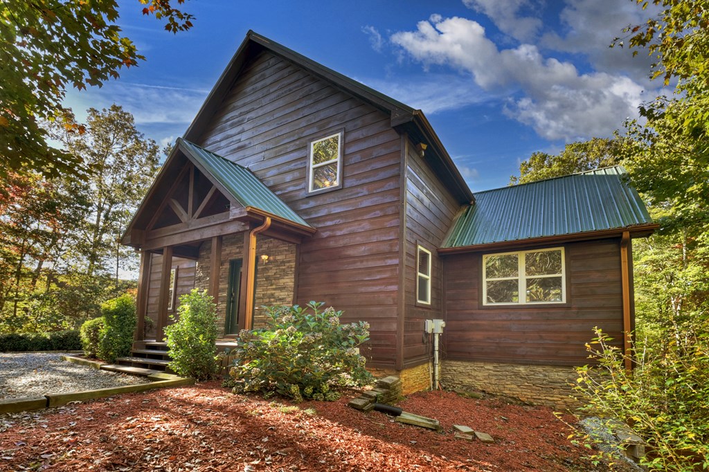 113 Deer Hunter Trail Blue Ridge, GA 30513 - Photo 4 of 50 Gallery Image 4