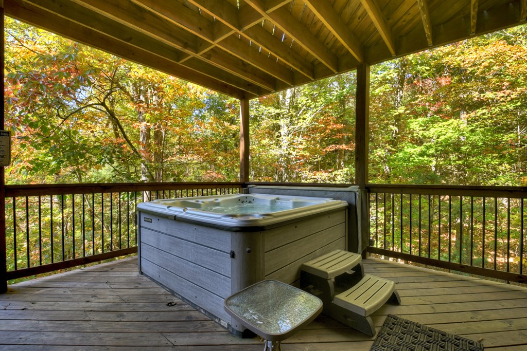 113 Deer Hunter Trail Blue Ridge, GA 30513 - Photo 42 of 50 Gallery Image 42