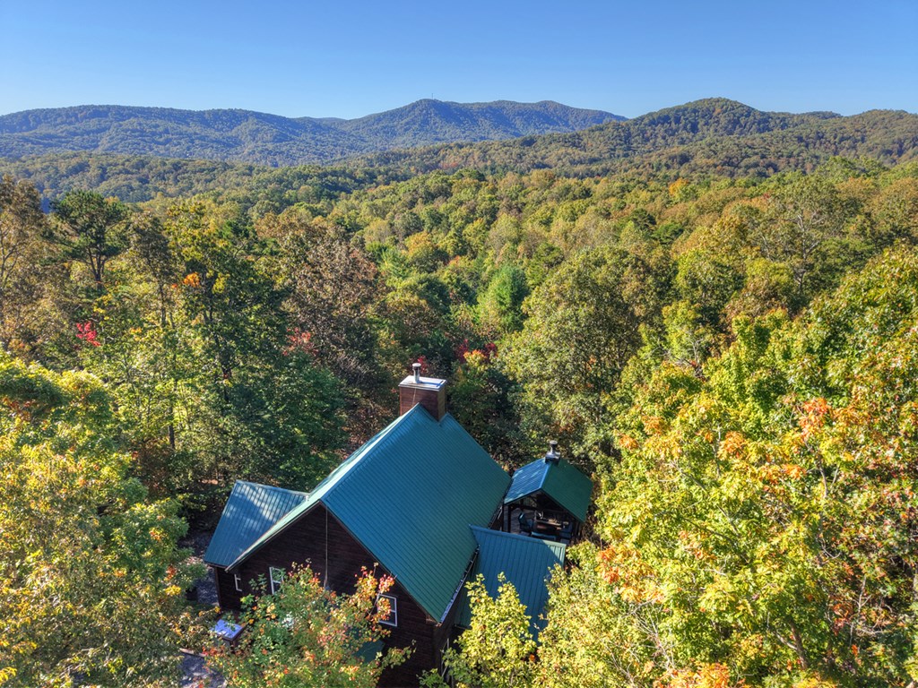 113 Deer Hunter Trail Blue Ridge, GA 30513 - Photo 49 of 50 Gallery Image 49