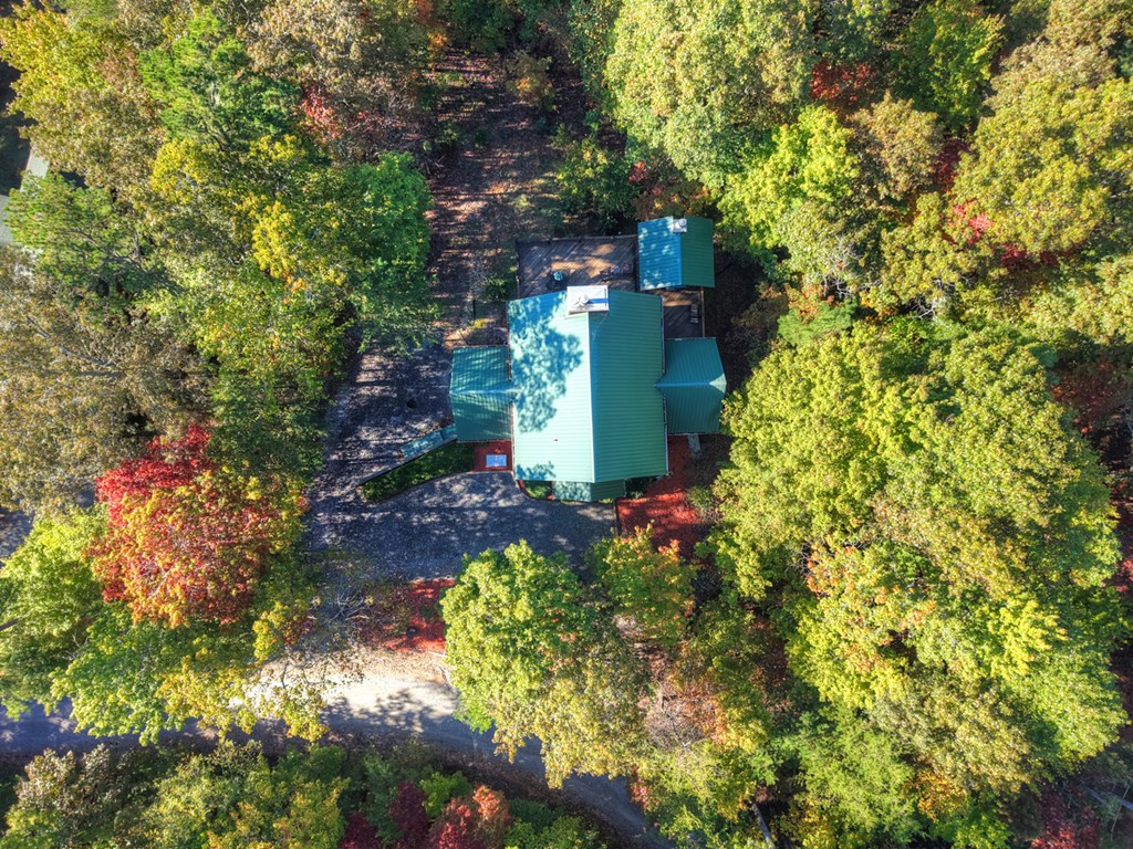 113 Deer Hunter Trail Blue Ridge, GA 30513 - Photo 50 of 50 Gallery Image 50