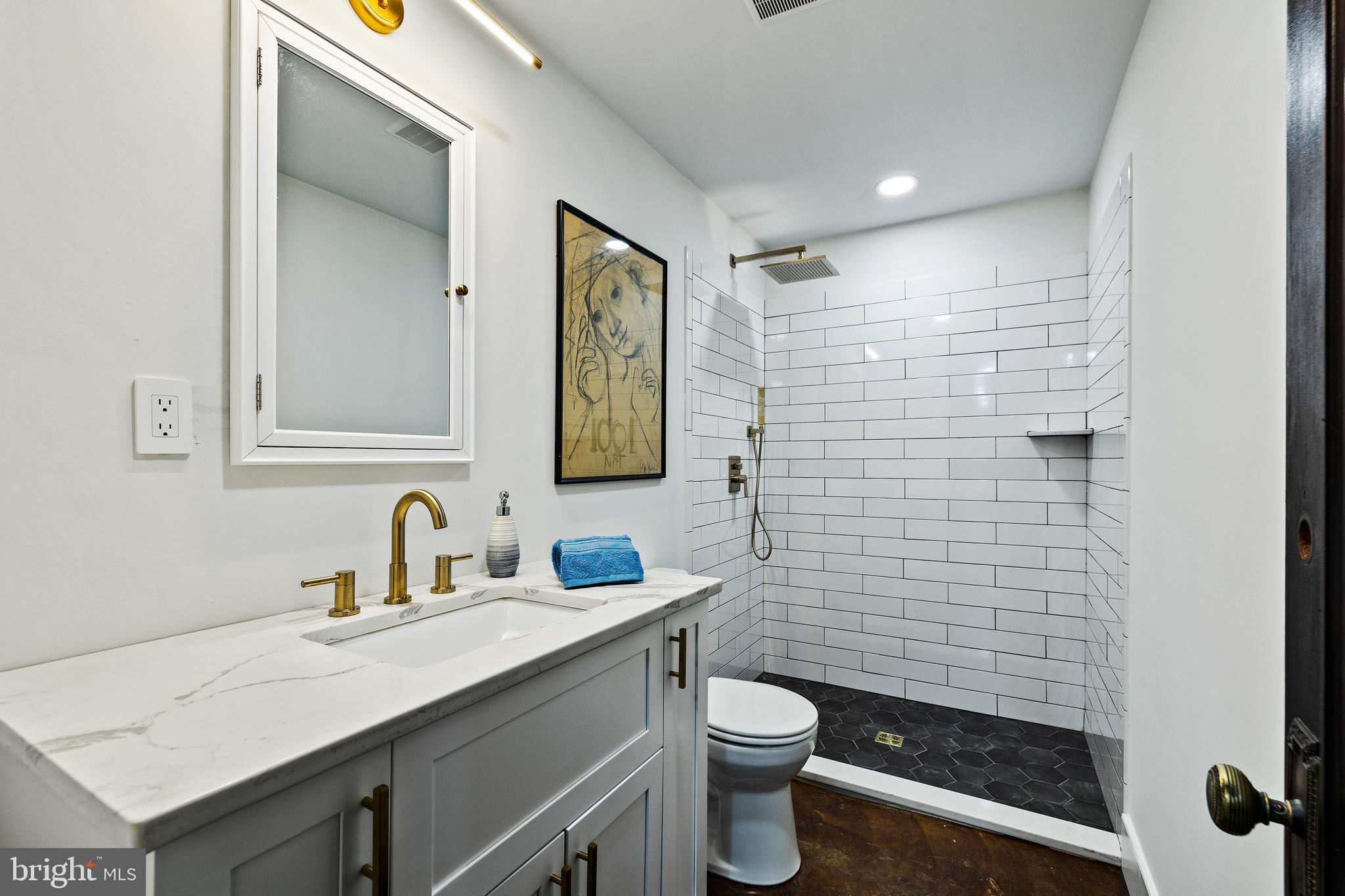 2235 Traceys Store Road Parkton, MD 21120 - Photo 53 of 65 Lower level full bathroom with walk-in shower