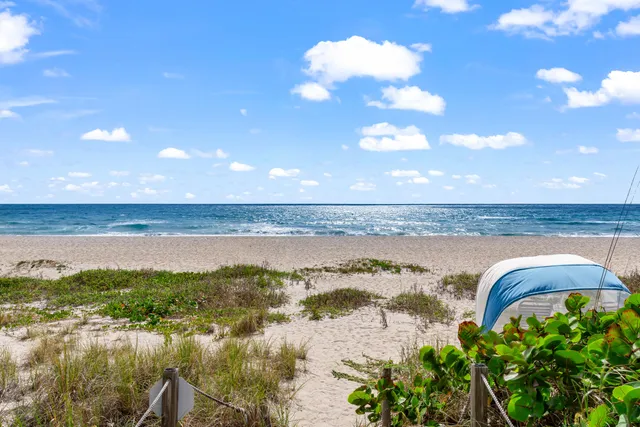 a view of a lake with a mountain in the background