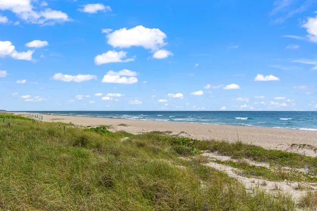 a view of an ocean and a yard