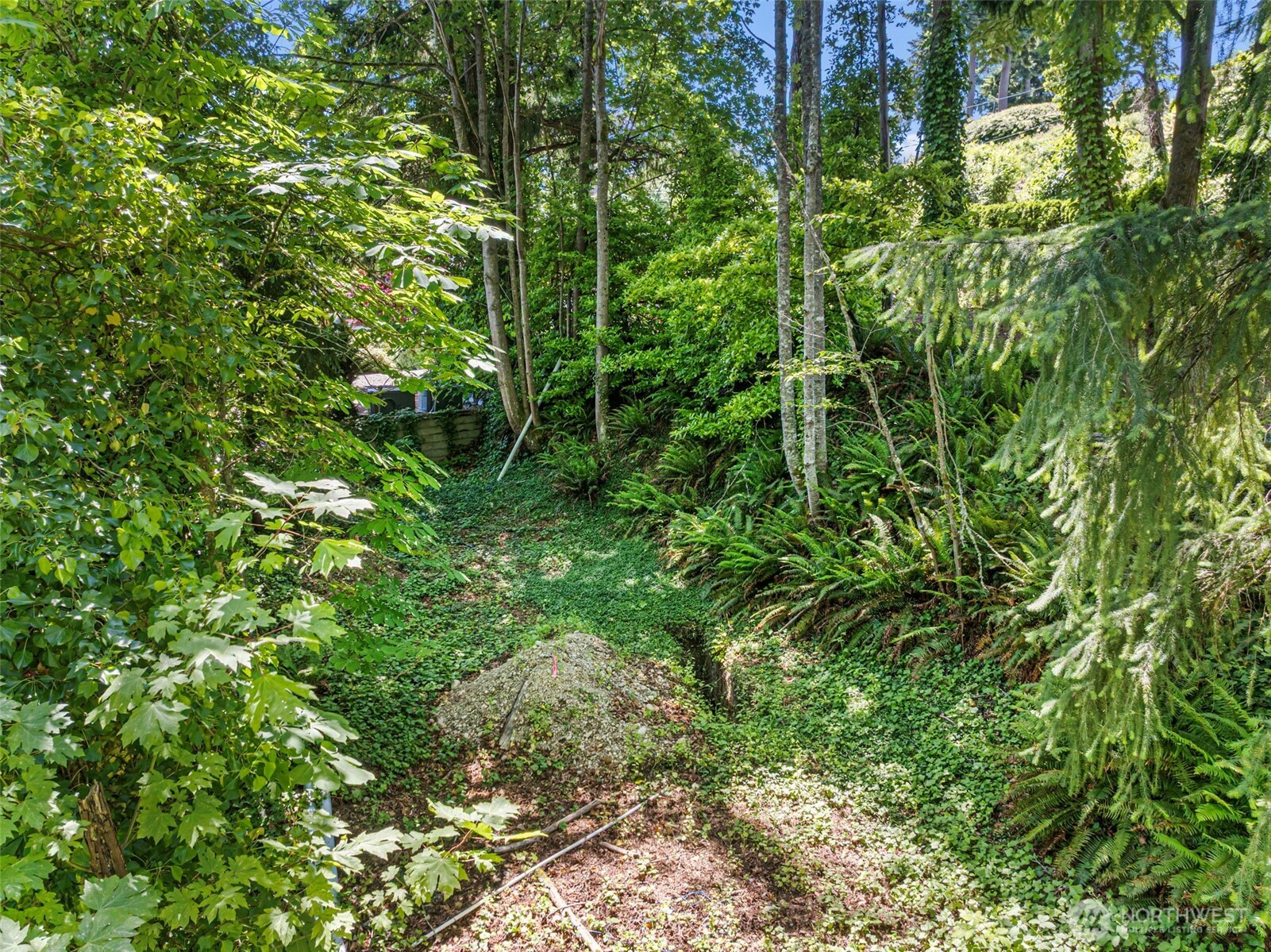 14447 Crescent Valley Road Southeast Olalla, WA 98359 - Photo 4 of 16