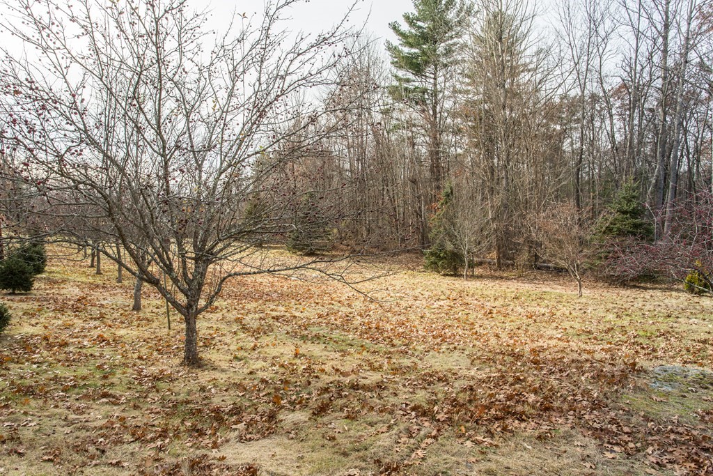 294 Patrill Hollow Road Hardwick, MA 01037 - Photo 26 of 29