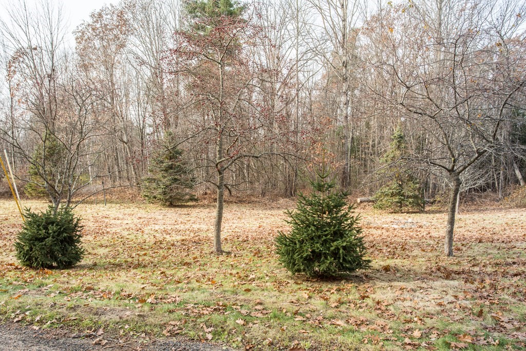 294 Patrill Hollow Road Hardwick, MA 01037 - Photo 29 of 29