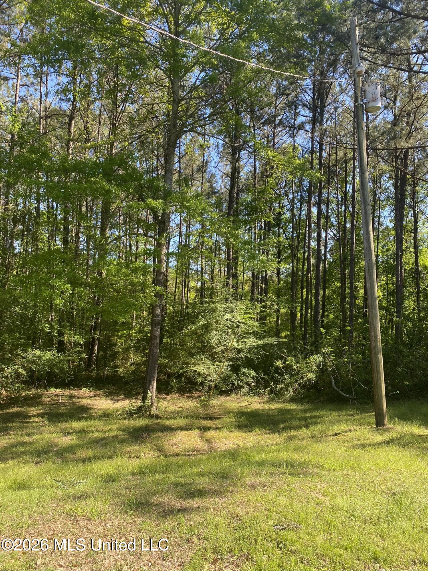 2342 Ferguson Mill Road Newhebron, MS 39140 - Photo 20 of 34 C456D90B-FAEF-4C4C-9F5A-63B74F125BC9_1_1