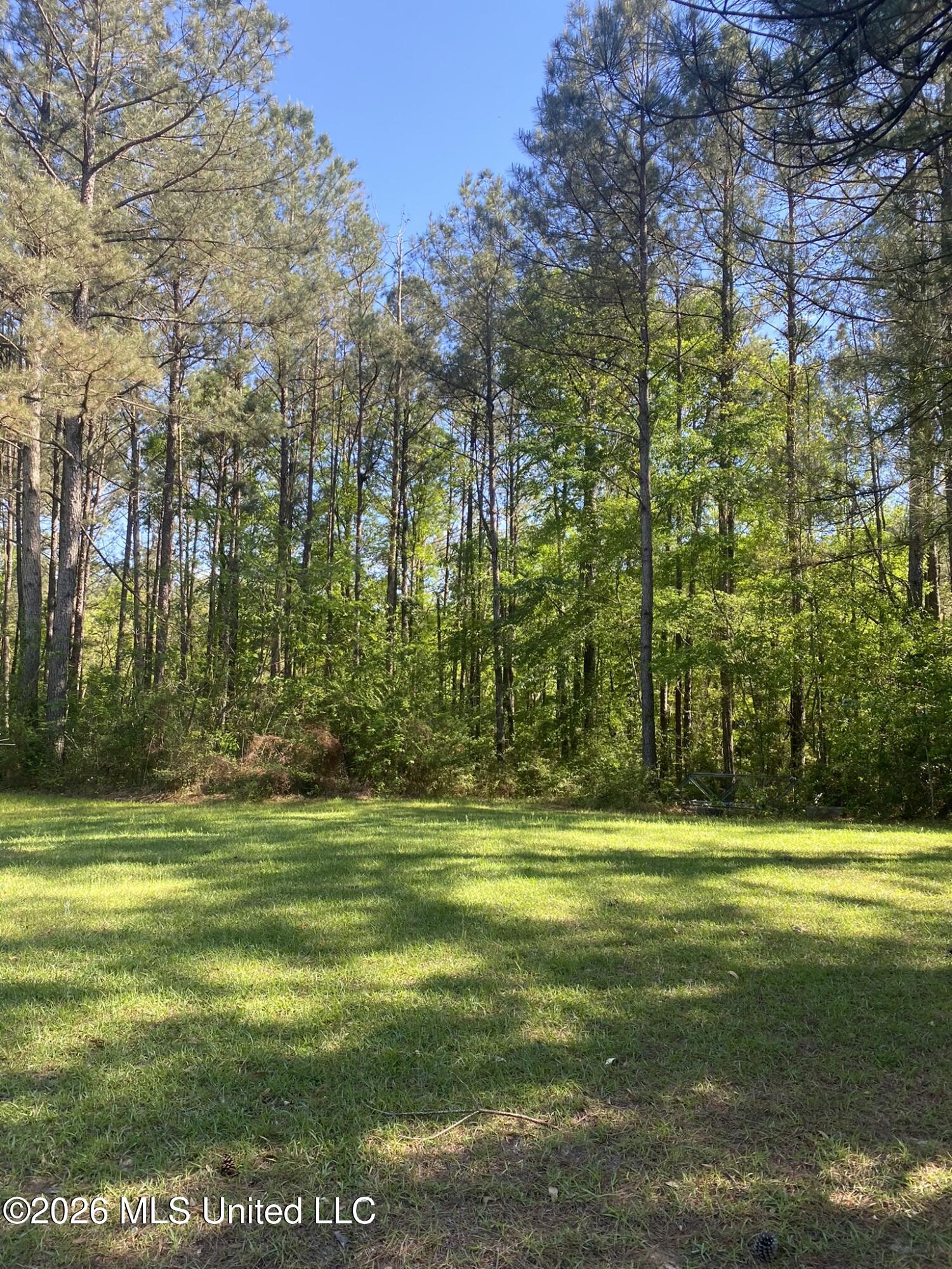 2342 Ferguson Mill Road Newhebron, MS 39140 - Photo 26 of 34 47B686EB-F863-4CE9-8A59-596596F908B2_1_1